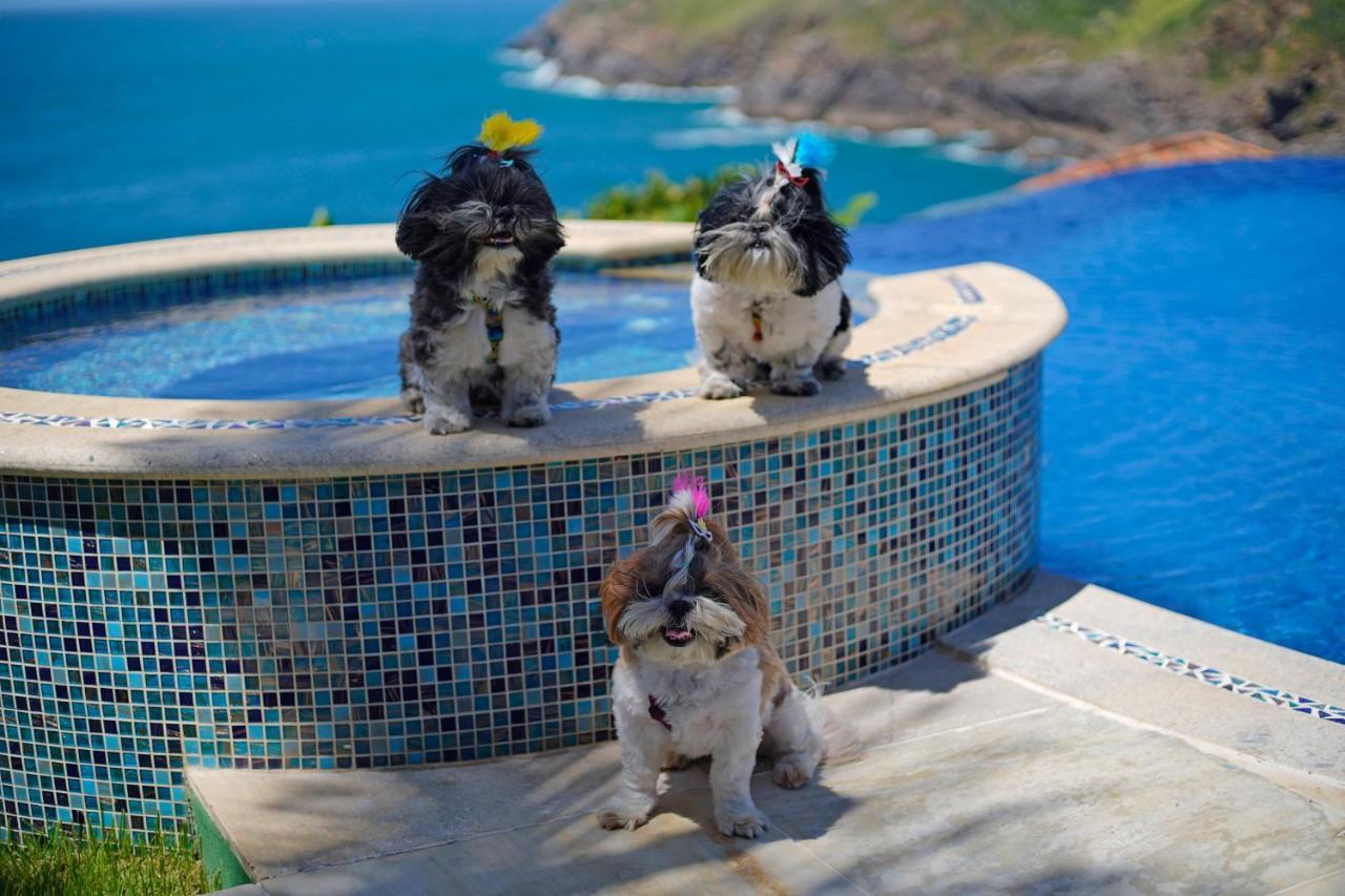 Cliffside Luxury Inn 5*
